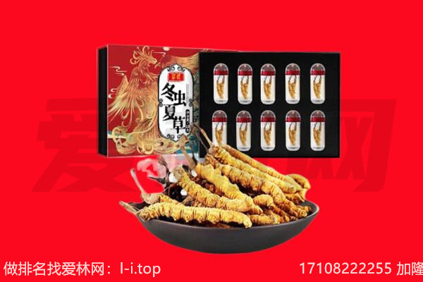 灌云县回收虫草.jpg